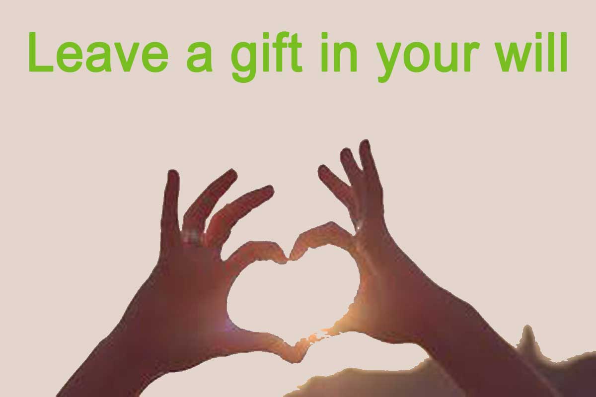 gift-in-your-will